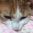。's Twitter (X) avatar