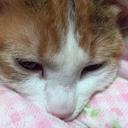 。 (@0123_2001) Twitter