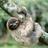RockThCasbah's profile image
