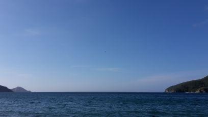 LinaLinamar120's profile picture. 