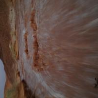 سعودي زاير الأردن (@sex_oil) Twitter profile photo