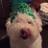 KenneyRyan's profile image