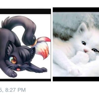 hello I'm shadowpaw mom @clan_of_life brave,mean,strong. 6 moons. .hello I'm shiftpaw mom @HerbsSpirit shy,nice, sweet. 6 moons medicen cat arpptice