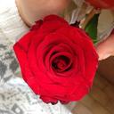صمت الجروح (@22Samtelgroh) Twitter