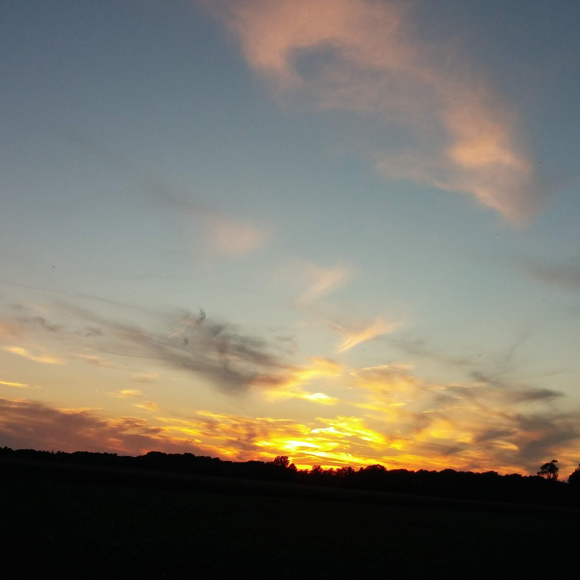 LaurieHitt's profile picture. 