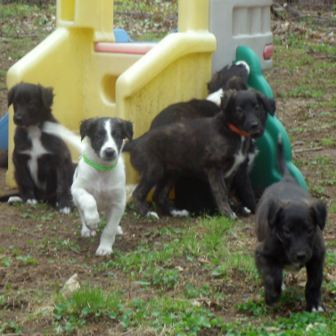 PamKilby2's profile picture. 