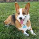 Amanda Poon - @amandampoon - Twitter