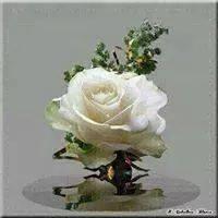 guntoro203's profile picture. 