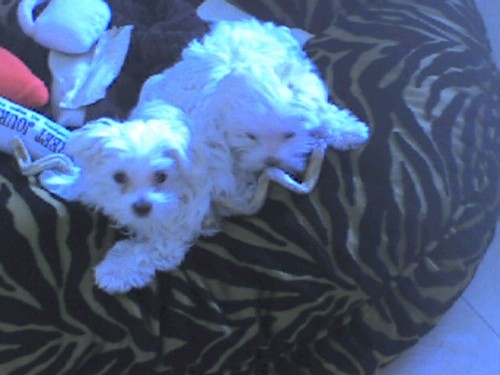 homecrowdsource's profile picture. Educating those who don't know about their Tenant/Landlord Right's. Follow me through out the land of Law.