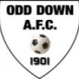 Odd Down AFC (@odddownafc) 's Twitter Profile