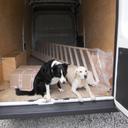 Jackie Boyce - @jekmanc - Twitter