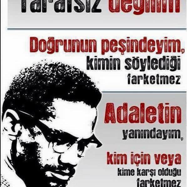 seyfisepeti's profile picture. borsacı