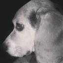 catherine richards - @randomatalltime - Twitter