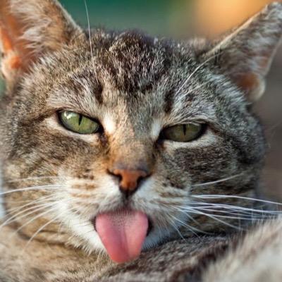 casarosa911's profile picture. keep breathing