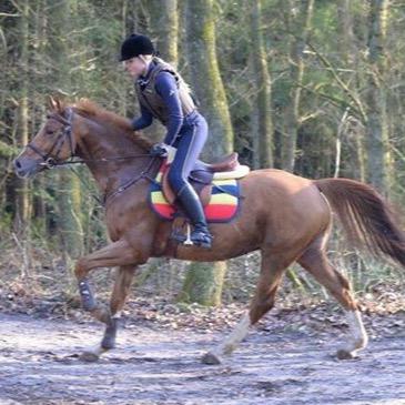 Je bent lief :) x sarah ~