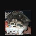 Ruben Kenny  - @gaming_rabbit_ - Twitter