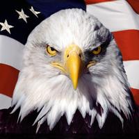 AMERICAN (@american) 's Twitter Profile