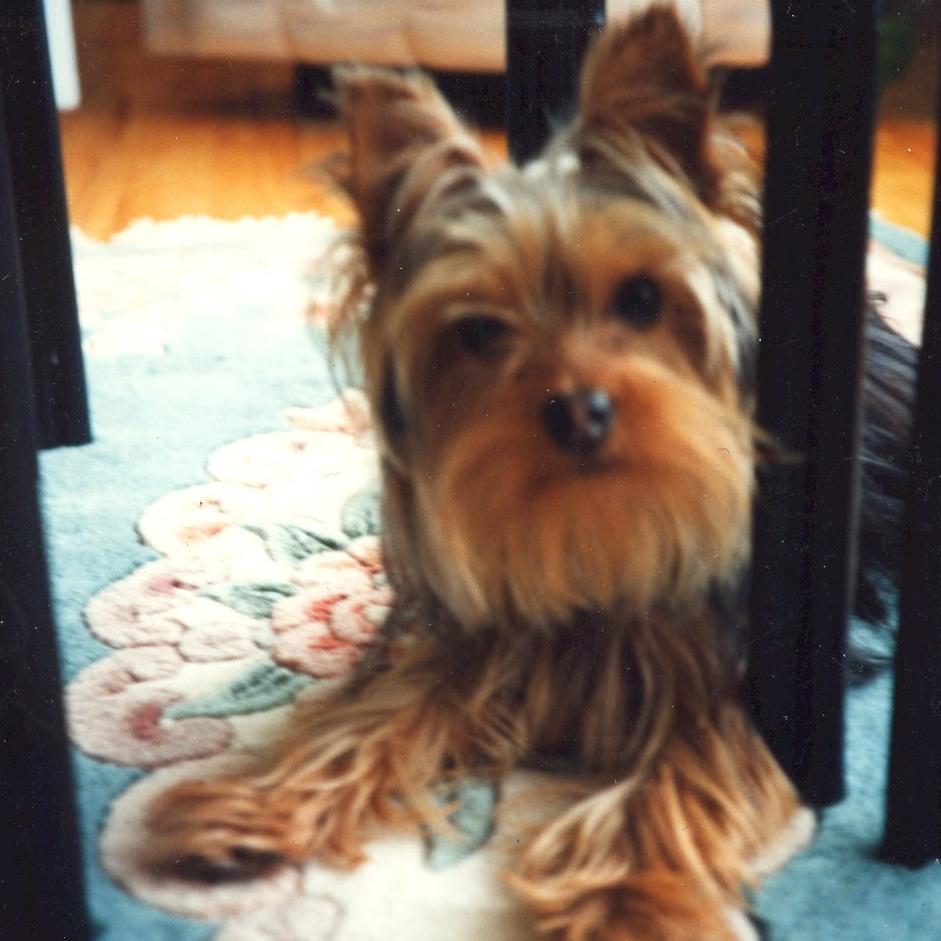 PBoutin22's profile picture. 