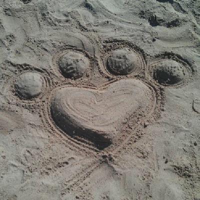 clgust's profile picture. 