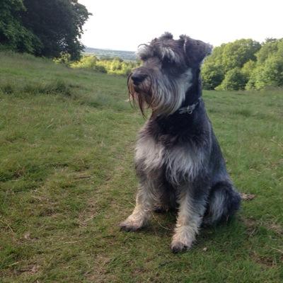 lizthomas77's profile picture. follows Northants County Cricket