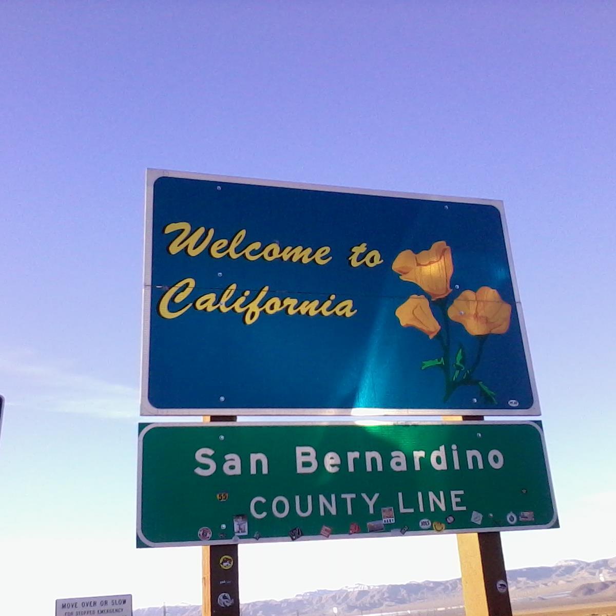 localdriver53's profile picture. 