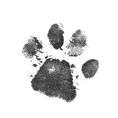 Milan Veterinary Clinic, Isle of Man
We pride ourselves on providing the best possible care for your pets for over 50 years......
