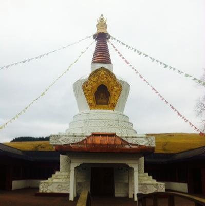 scottoxton's profile picture. campaigner equality for all i have no race and gender im simply human all views are my own conchita superfan #unstoppables