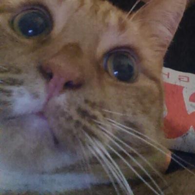 http://t.co/LYq3duAa06       follow mee for alot of gaming or check it out !!!! ;-;



have a nice day :)