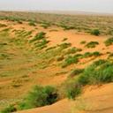 بلادي منها السلام (@002067044d33466) Twitter