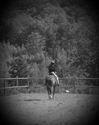 3 barrels, 2 hearts, 1 dream♡ cowgirls turn and Burn ♡