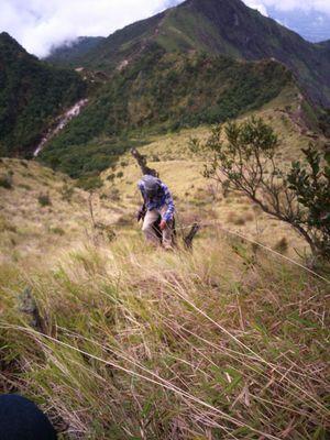 zakibeta's profile picture. Semangat dan terus berkarya selagi masih bisa