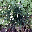 Heidi Graumann - @dit_schi - Twitter