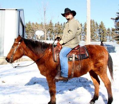 hatsonstraight's profile picture. I have no idea what I'm doing.