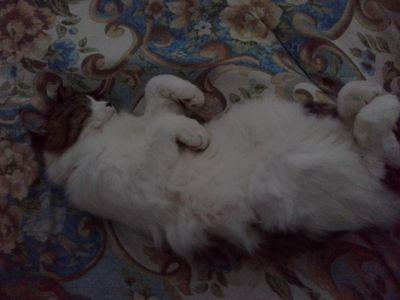 Mariano55555's profile picture. 