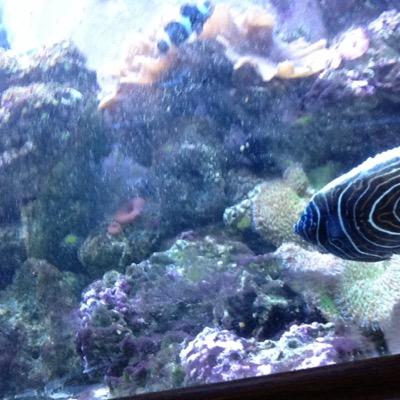 Lg1401Tyler's profile picture. 