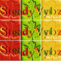 Steady Vybz (@steadyvybz) 's Twitter Profile