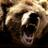 Image de profil de Bearimprint
