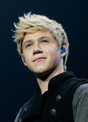 Directioner and Niall Girl