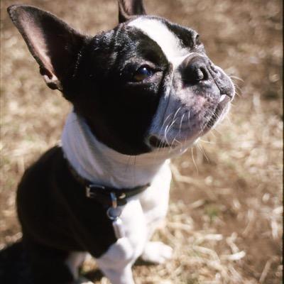 ALF_J03's profile picture. WOT(ASIA鯖)ぼちぼちエンジョイ/ガンオンFジ准将安定/モンスト/ジョジョ