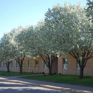 Lakeville Area Public Schools