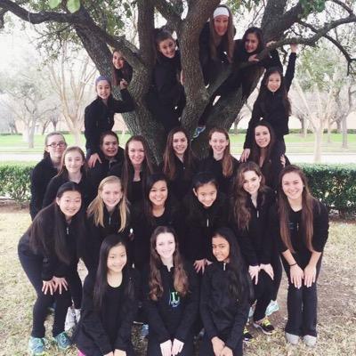 Y'all won't know what HITS y'all. Official account for the Houston Ice Theater Skaters team.