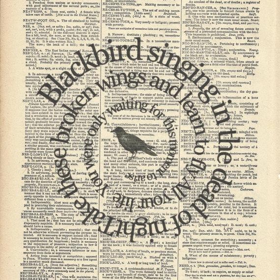 mbaungier's profile picture. Lockn' Festival , The Festy and Silent Partner Management, wrangler of Tour Managers to pay artists and building venues.