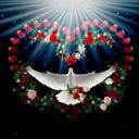 samer (@1973Syrin) Twitter