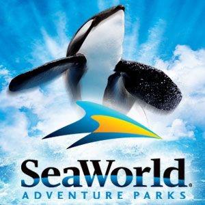 Seaworldmatters's profile picture. SeaWorld is a positive influence on the worlds oceans and its marine life. Teaching millions about the beauty of our oceans.