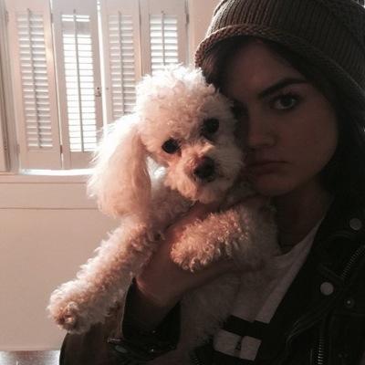 Follow : @httpxhorangina