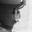 evarodriguez__'s profile image