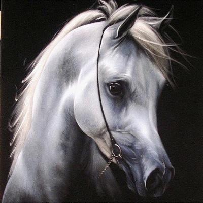 doooppv445's profile picture. 