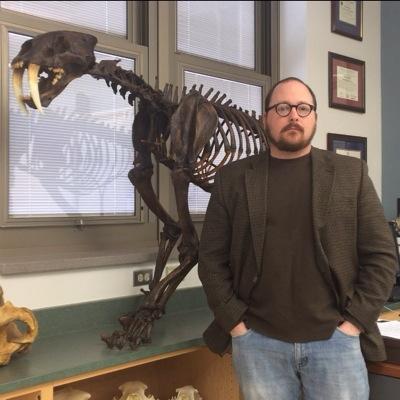 syorgey's profile picture. 