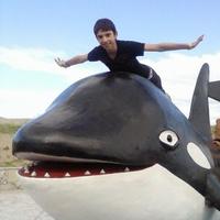 guillermo kevin❤️ Memecoin (@kevinbogao) 's Twitter Profile
