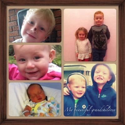 lou_lou41's profile picture. mum to 4,nan to 8! friend to everyone :)
